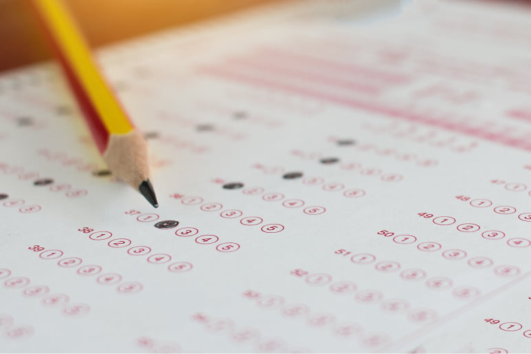 国家試験合格実績